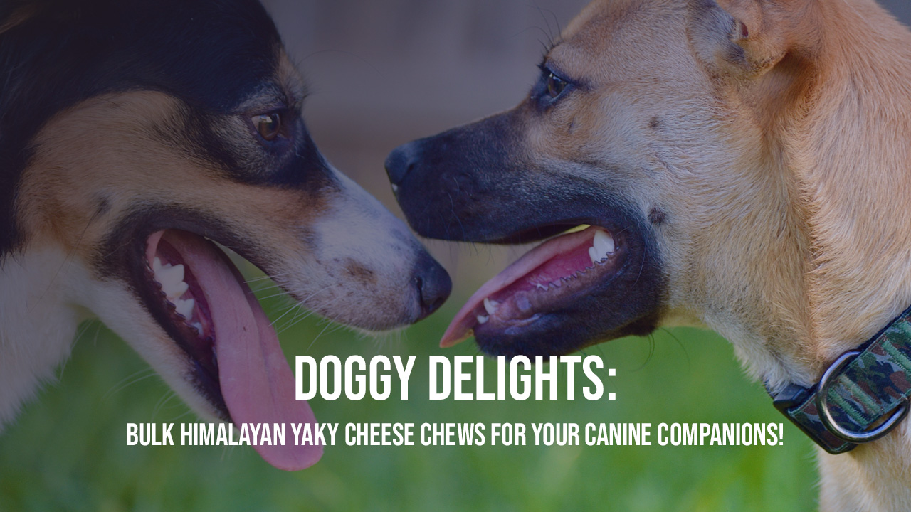 Doggy Delights: Bulk Himalayan Yaky Cheese Chews for Your Canine Companions! - JMY Pet